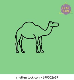 camel line icon