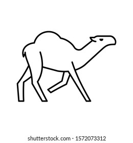 Camel line icon. Icon design. Template elements