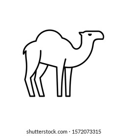 Camel line icon. Icon design. Template elements