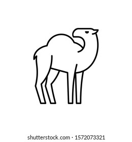 Camel line icon. Icon design. Template elements