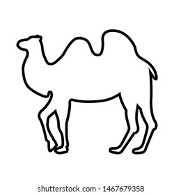 Camel line icon, logo isolated on white background