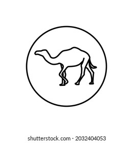 Icono de línea de camello en fondo blanco.
