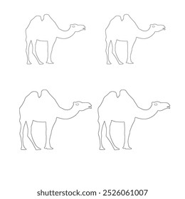 Camel line and solid icon, outline style icon for web site or mobile app, zoo and animal, Arabian camel vector icon, simple vector illustration, vector graphics