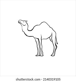 
camel linear doodle vector illustration. Hand-drawing sketch of 
camel. Outline 
camel icon isolated on white background