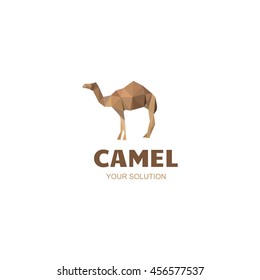 Camel Logo Company