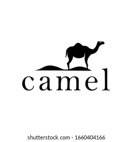 camel logo design illustration with desert vector inspiration