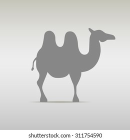 Camel Logo design template silhouette. Desert Travel