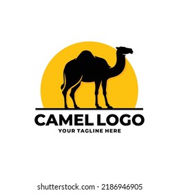 Camel logo design vector illustration