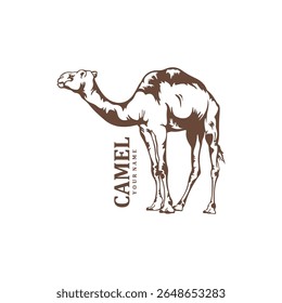 Camel logo design vector. Silhouette Camel Template Illustration. Icon Symbol