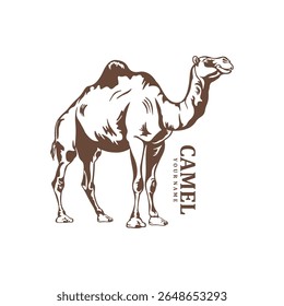 Camel logo design vector. Silhouette Camel Template Illustration. Icon Symbol