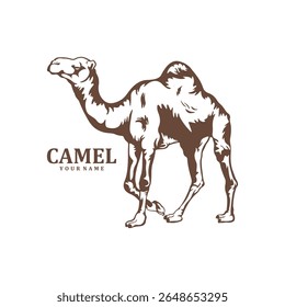 Camel logo design vector. Silhouette Camel Template Illustration. Icon Symbol
