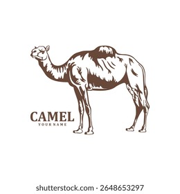 Camel logo design vector. Silhouette Camel Template Illustration. Icon Symbol
