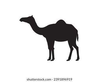 Camel logo icon,  camel walking, black and white vector silhouette of a camel.