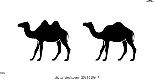 Camel logo. Isolated koala on white background