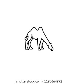 camel logo line icon designs vector