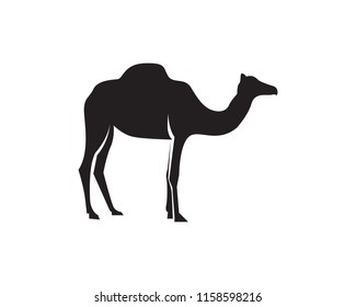 Camel Logo Template Camel Logo Template