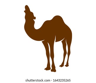 
Camel logo vector, Animal graphic, Camel design Template illustration