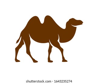 
Camel logo vector, Animal graphic, Camel design Template illustration