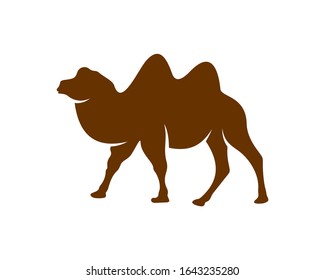 
Camel logo vector, Animal graphic, Camel design Template illustration