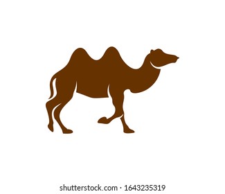 
Camel logo vector, Animal graphic, Camel design Template illustration