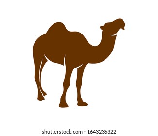 
Camel logo vector, Animal graphic, Camel design Template illustration