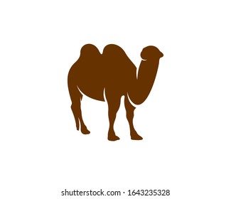 
Camel logo vector, Animal graphic, Camel design Template illustration