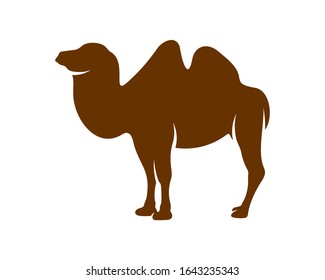 
Camel logo vector, Animal graphic, Camel design Template illustration