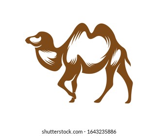 
Camel logo vector, Animal graphic, Camel design Template illustration