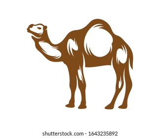 
Camel logo vector, Animal graphic, Camel design Template illustration