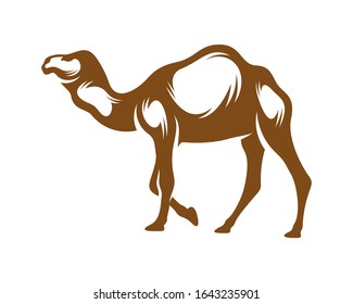 
Camel logo vector, Animal graphic, Camel design Template illustration