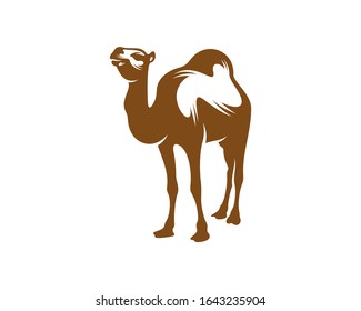 
Camel logo vector, Animal graphic, Camel design Template illustration