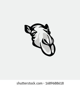 Camel logo vector design templates