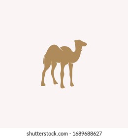 Camel logo vector design templates