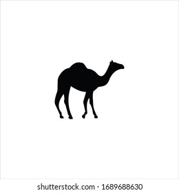Camel logo vector design templates