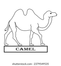 Camel logo vector illustration design