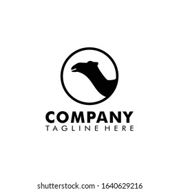 Camel Logo Vector Template Design