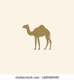 Camel logos vector design template