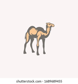 Camel logos vector design template