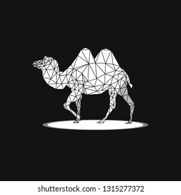 Camel low poly style. polygonal vector illustration. 