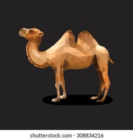Camel low polygon polygon on a black background
