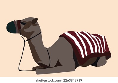 Camello acostado con una manta sobre sus caderas. Camello animal del desierto.