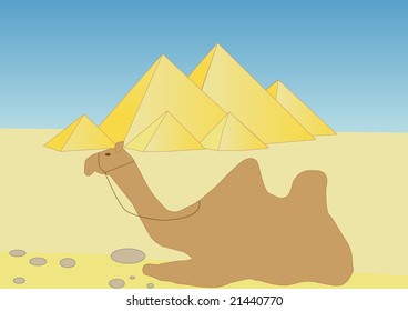 The camel lying on sand against pyramids in Africa
