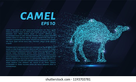A camel made of particles on a dark background. A camel made out of geometric shapes. Vector illustration