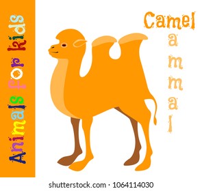 Camel. Mammal. Animals for children. Cards for the development of the youngest children with the image of animals, birds, insects, reptiles. Vector. Color picture