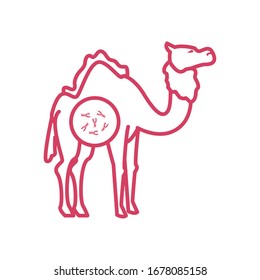 camel with mers covid 19 virus icon over white background, line style icon, vector illustration