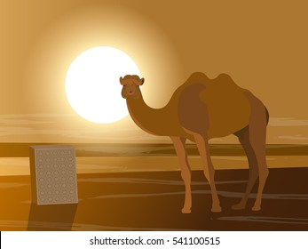 Camel and monument sunset deserts,  vector illustration