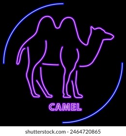 camel neon sign, modern glowing banner design, colorful modern design trend on black background. Vector illustration.