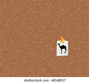 camel notice concept