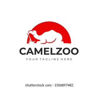 Camel on a background of the sun logo design. Camel sitting in desert vector design. Wild animal logotype