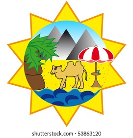 Camel on the beach